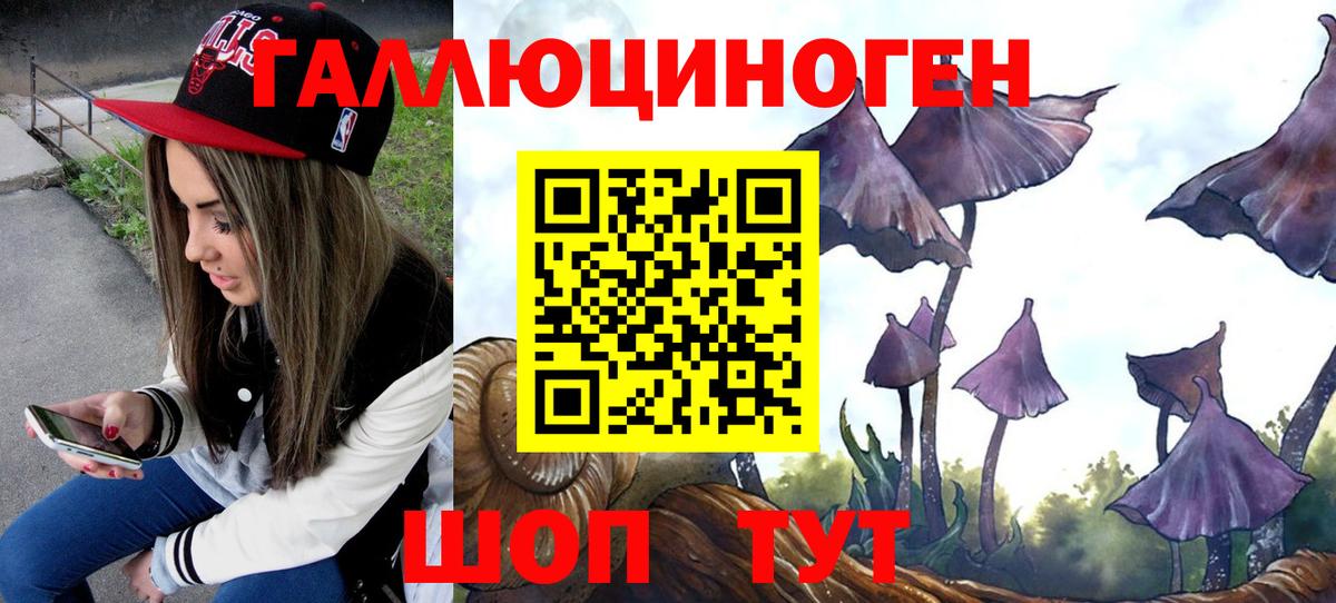 Псилоцибиновые грибы Psilocybine cubensis  Вход с VPN  Псилоцибиновые грибы прущие грибы  Кемерово 